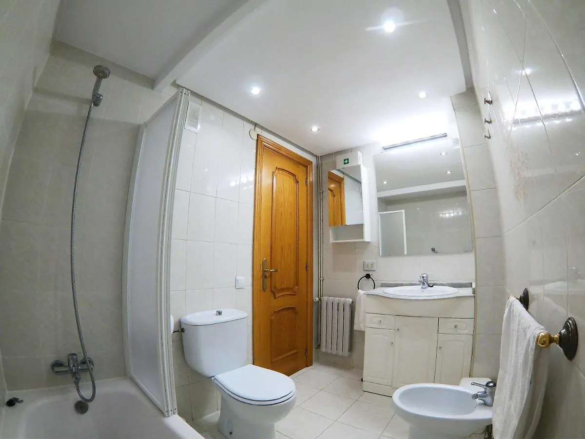 Balea Apartment San Sebastian 0*,